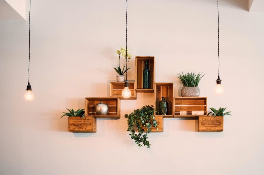 a room with plants and a fireplace