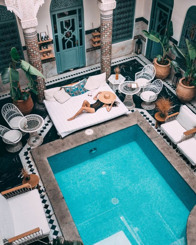 a table with a plate of food and a plant